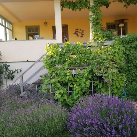 Ferienhaus Schiller Waren  Kültér fotó