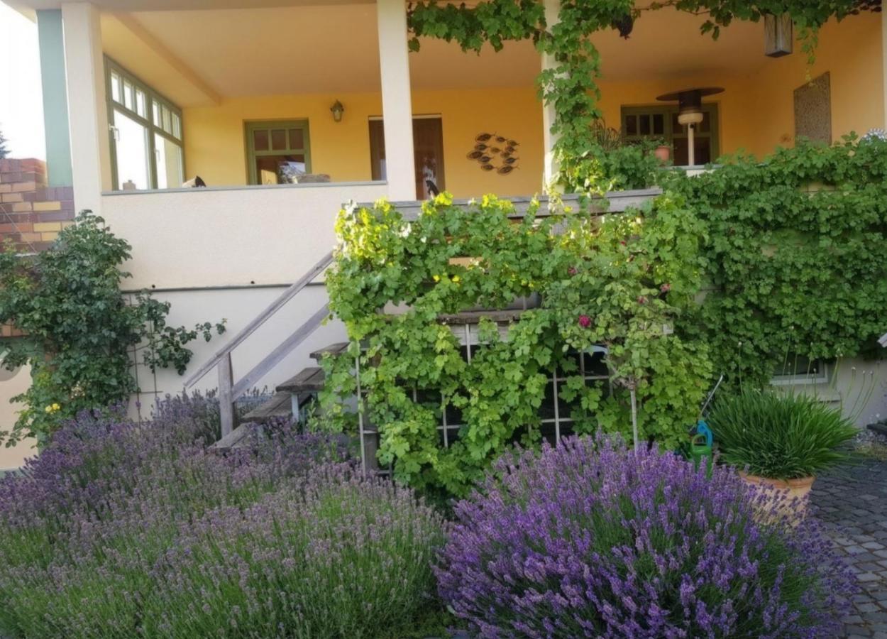 Ferienhaus Schiller Waren  Kültér fotó